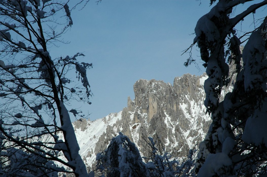 Parco Valentino al Monte Coltignone